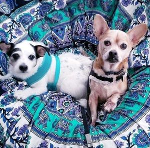 Meet your Posher, Deb